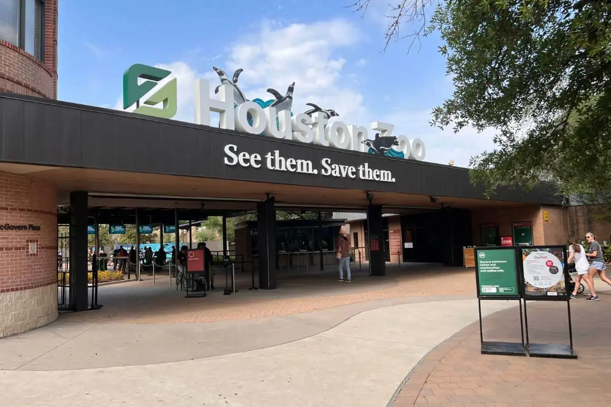 Best Places to Visit in Texas - The Houston Zoo