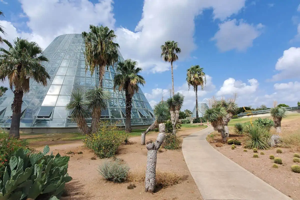 15 Best Things to Do in San Antonio - San Antonio Botanical Garden
