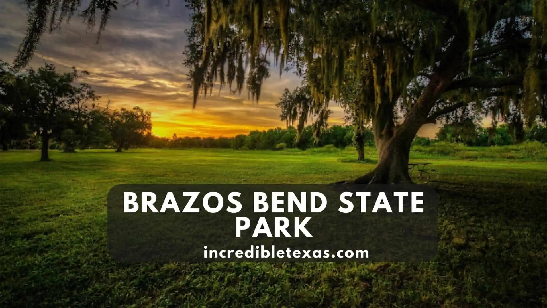 Brazos Bend State Park Alligators and Trails