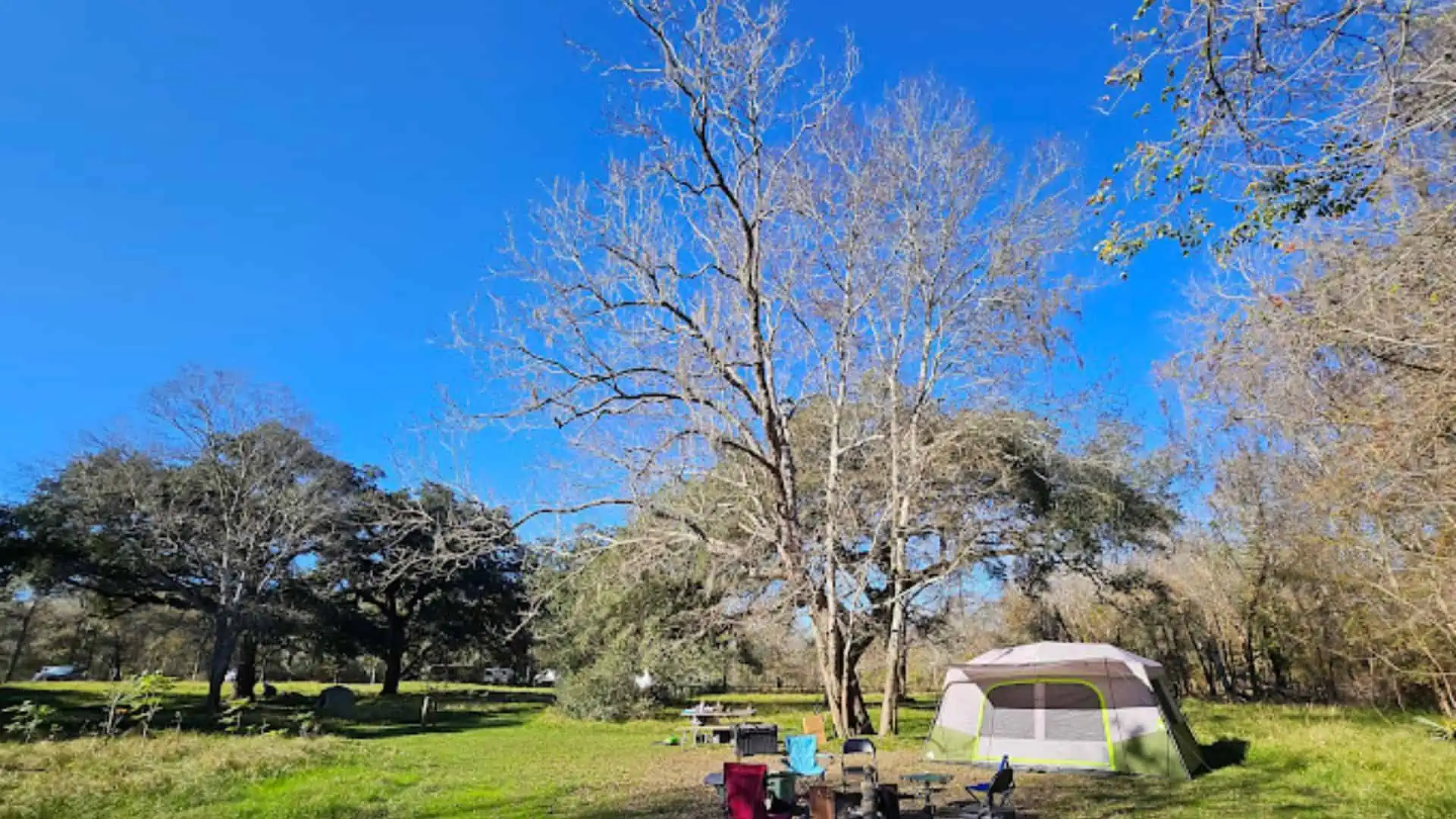 Brazos Bend State Park Texas Map Camping