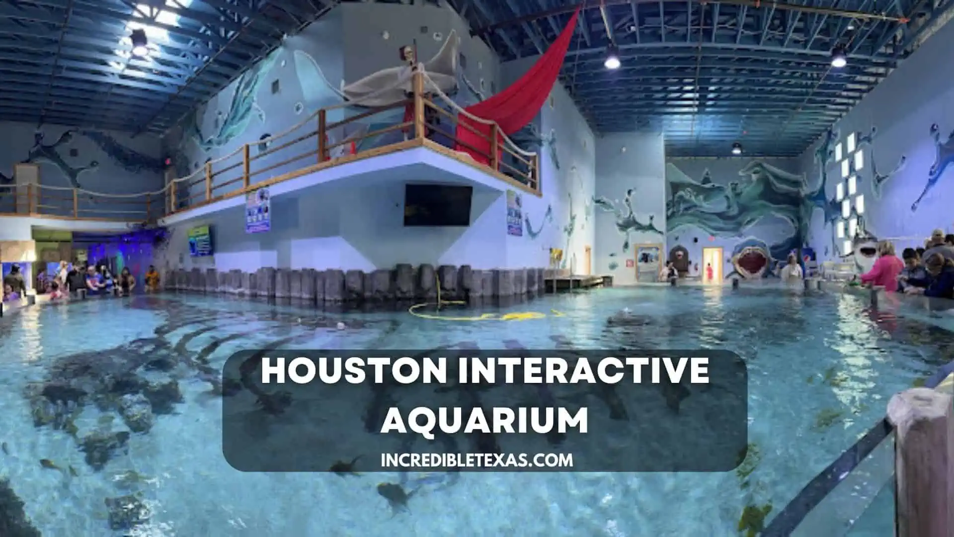 Houston Interactive Aquarium Ticket Prices, Hours, Parking, Getting There