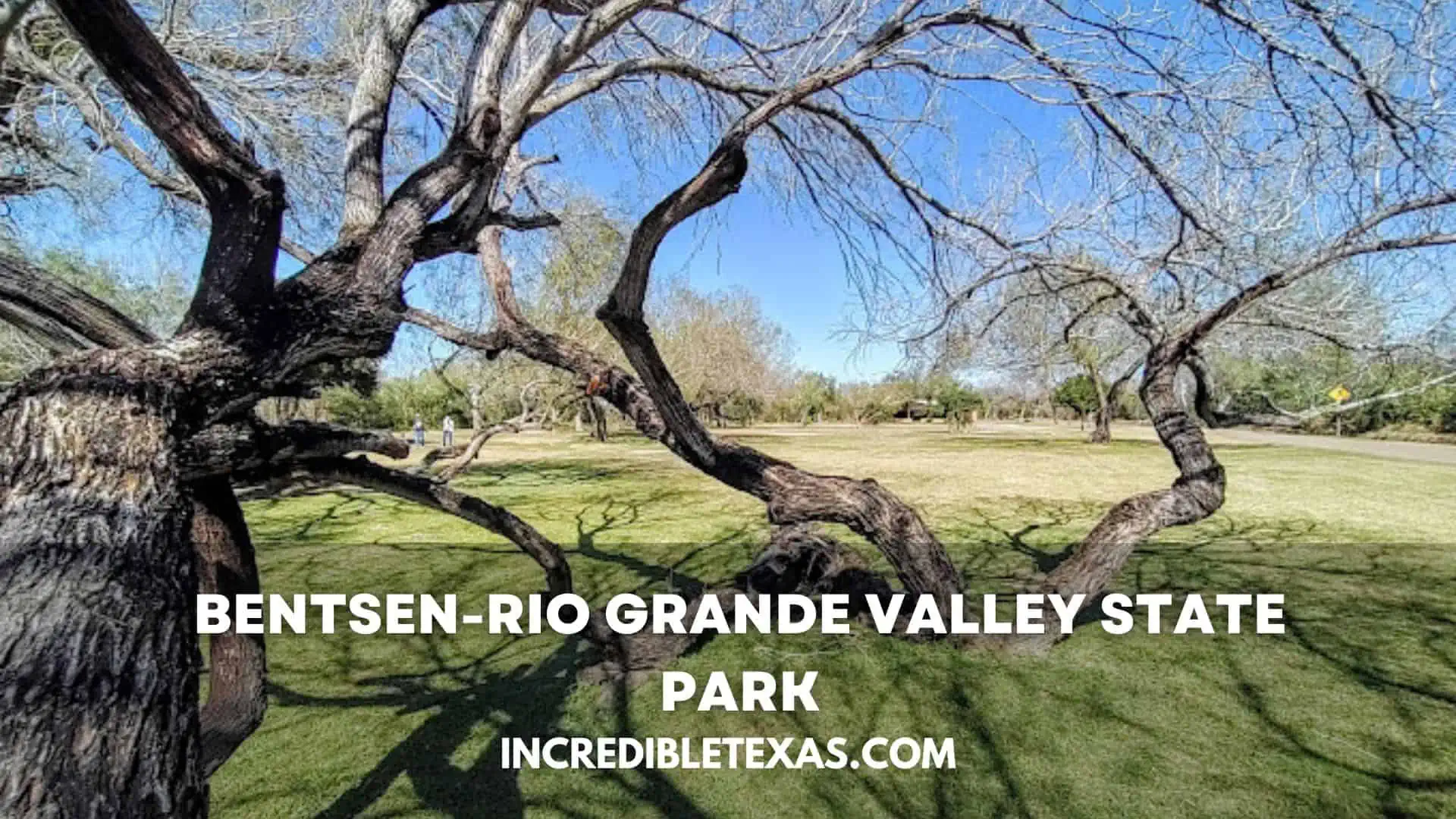 Bentsen-Rio Grande Valley State Park Map, Hours, Pricing, Trails, Camping, Cabins. Best Things to Do in McAllen TX.