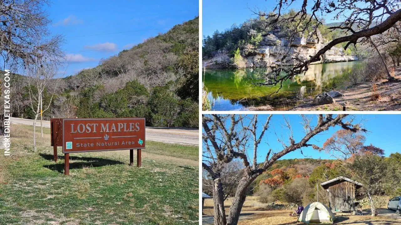 Lost Maples State Natural Area Map, Hours, Camping, Hiking Trails, Things to Do
