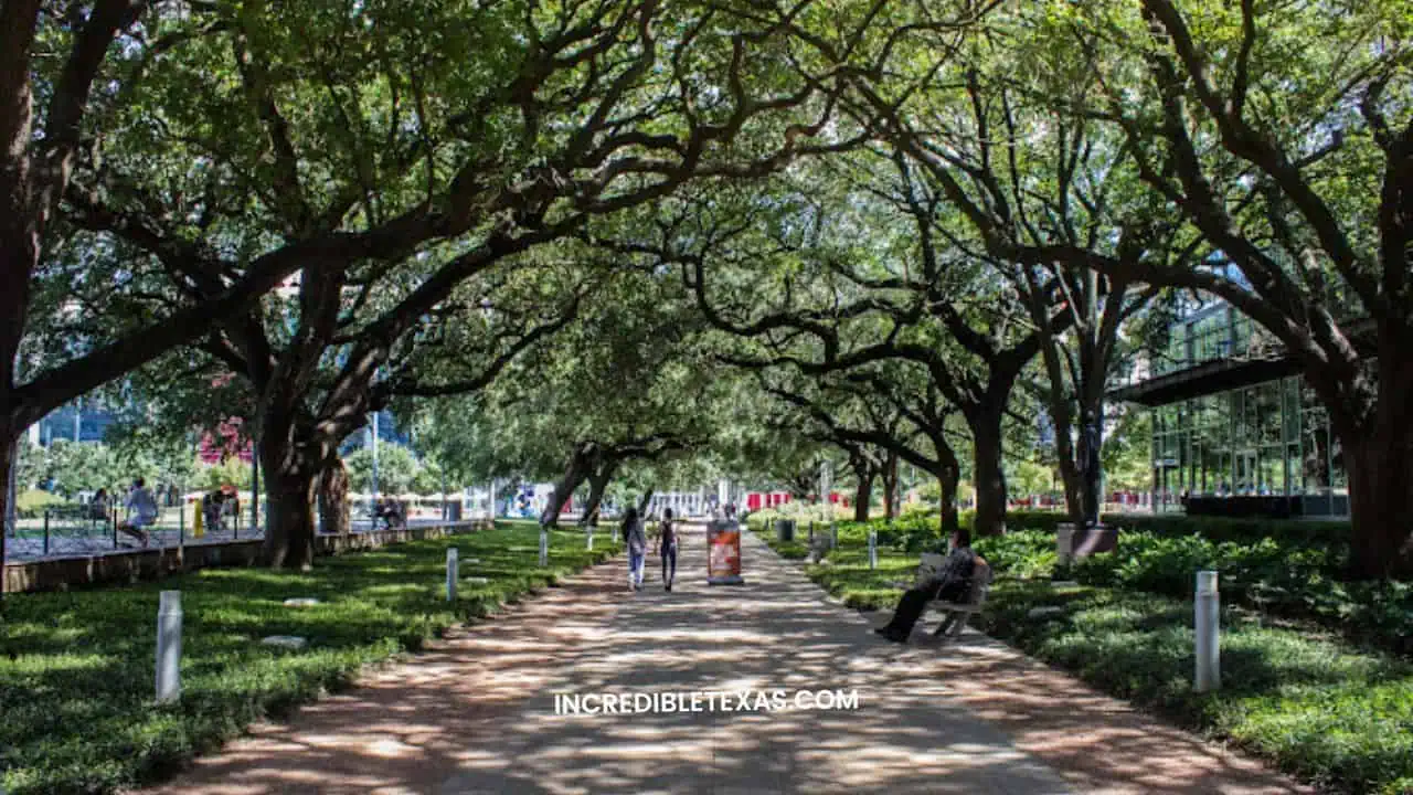 Discovery Green Houston