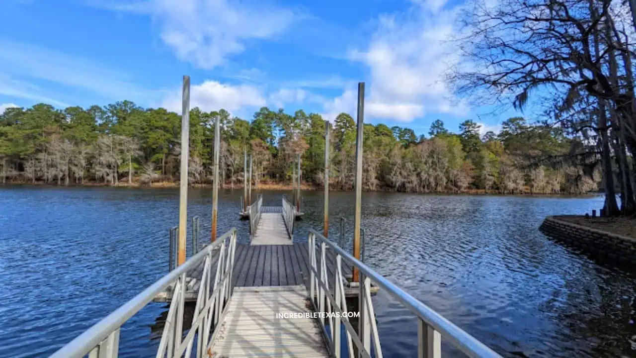 Things to do at at Caddo Lake State Park