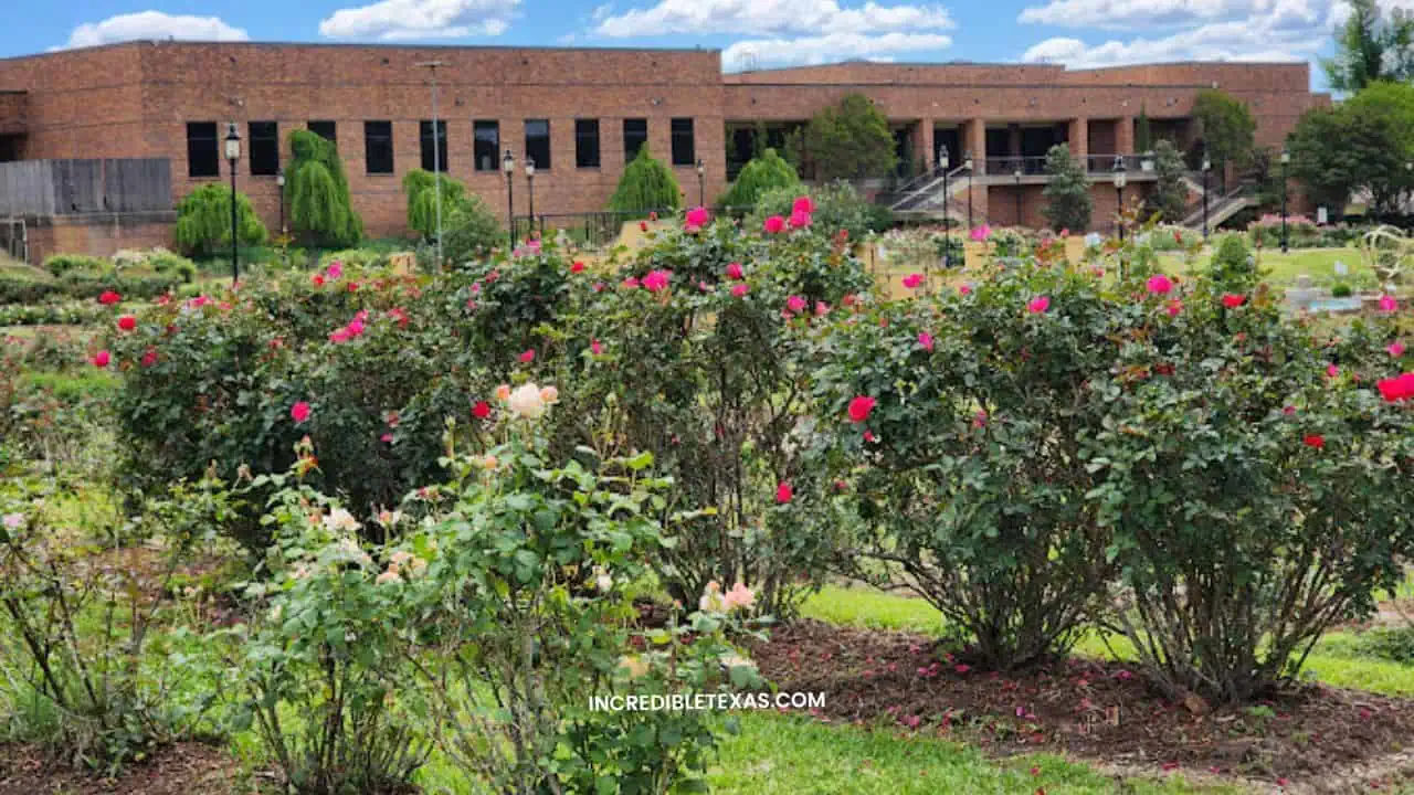 Tyler Rose Garden