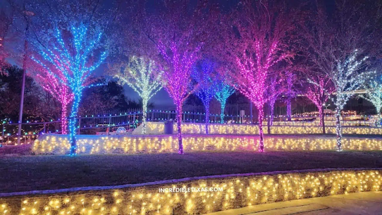 Amarillo Botanical Gardens - things to do in amarillo for couples