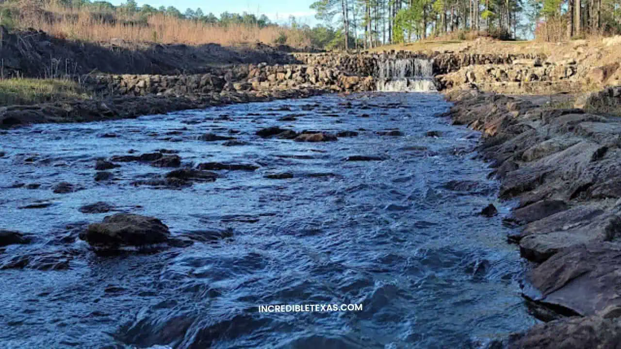 Boykin Springs in Angelina National Forest