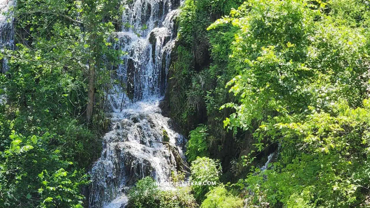 Gorman Falls Texas