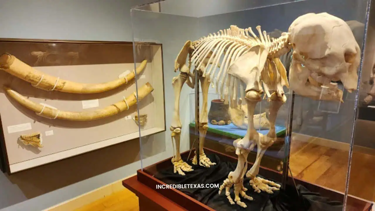 Mayborn Museum Complex Waco TX