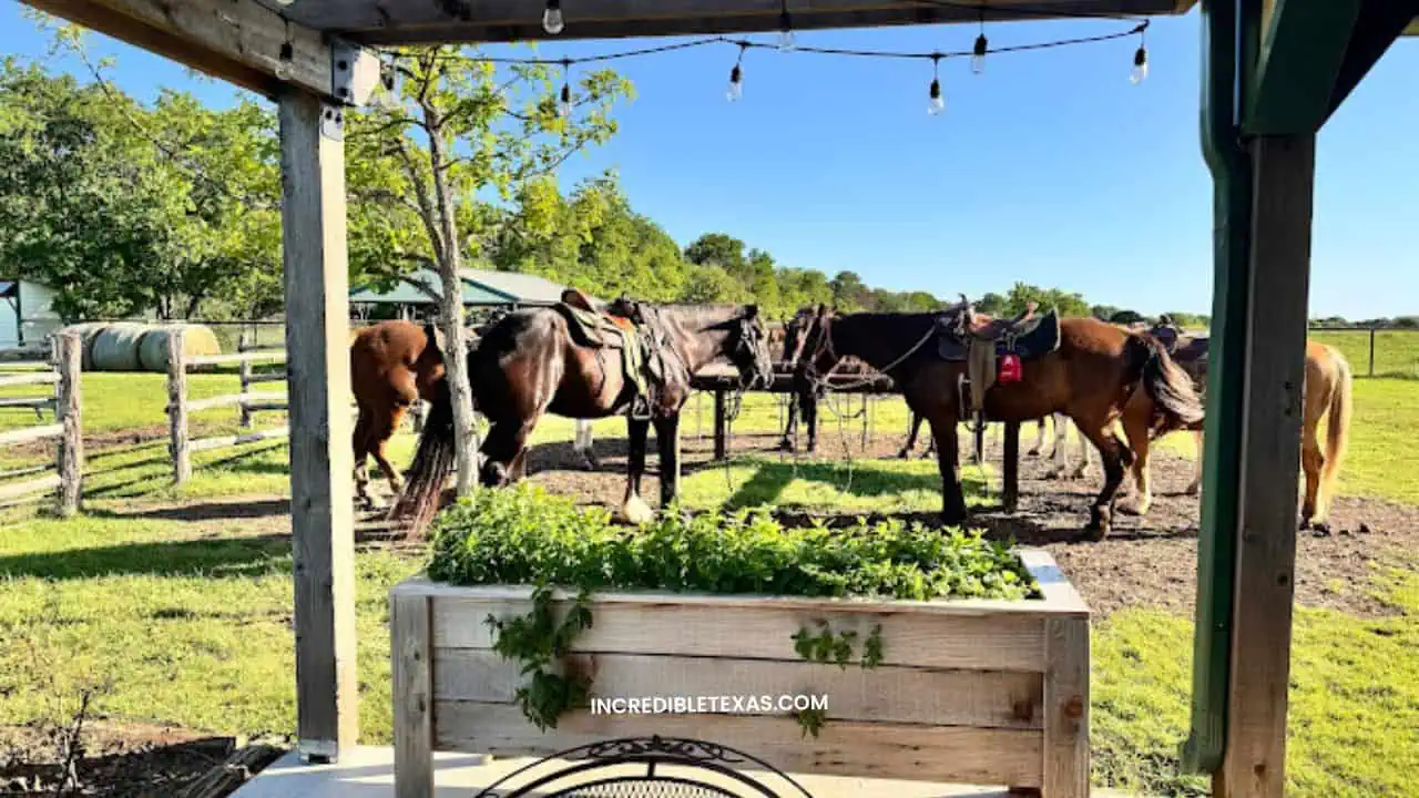 Brazos Bluffs Ranch Waco TX