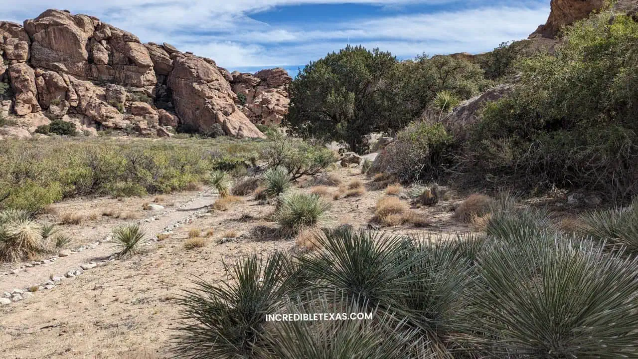 Hueco Tanks State Historic Site El Paso TX