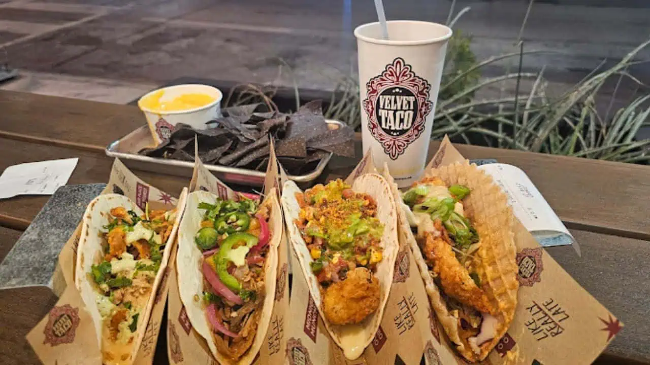 Velvet Taco Dallas TX