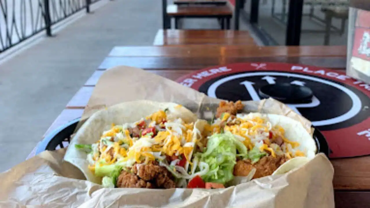 Torchy