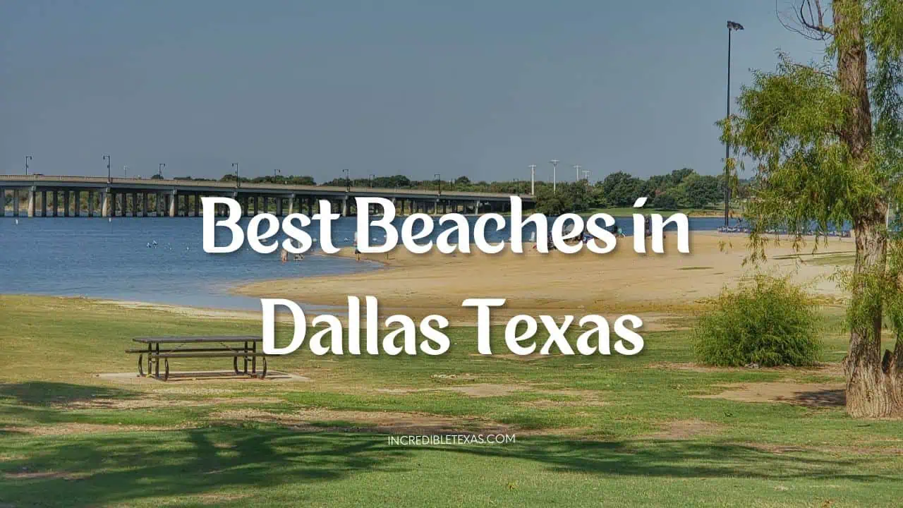 Best Beaches in Dallas Texas