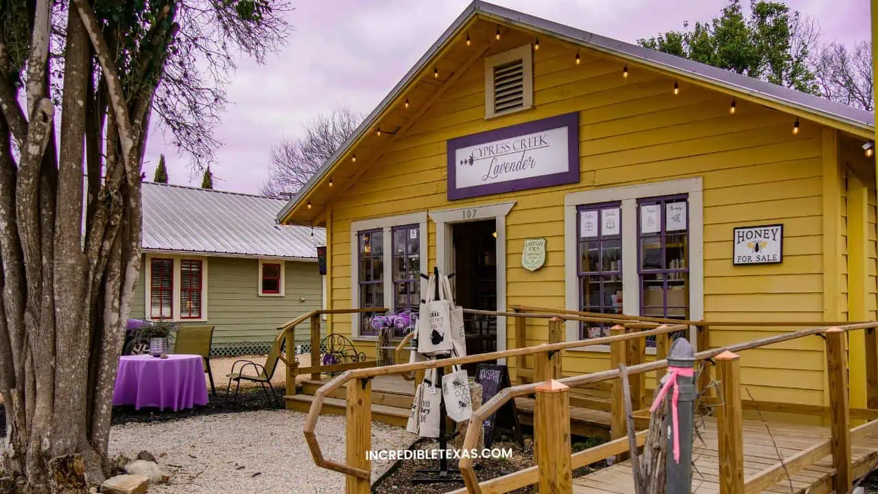 Cypress Creek Lavender