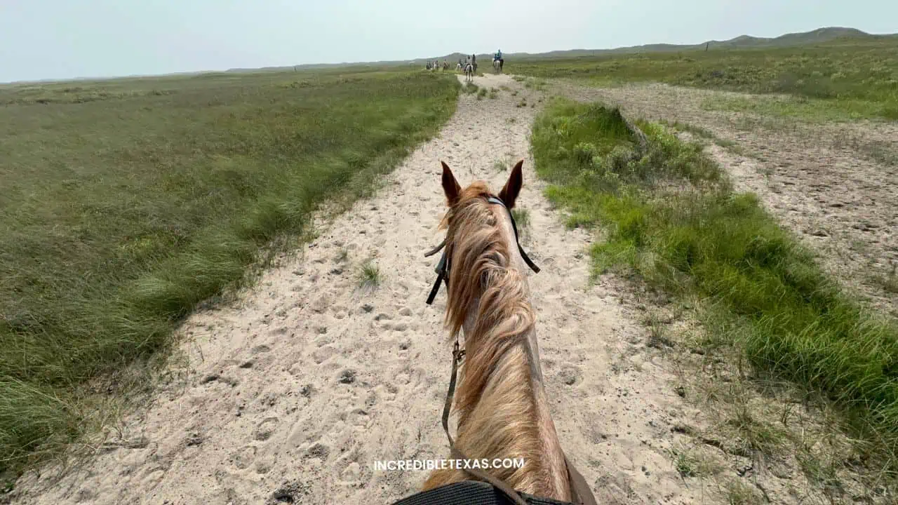 Horseback Riding Port Aransas