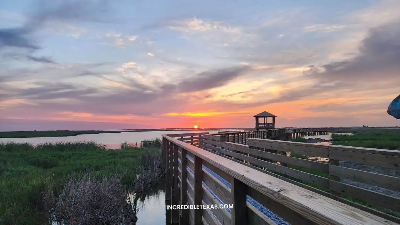 The Leonabelle Turnbull Birding Center