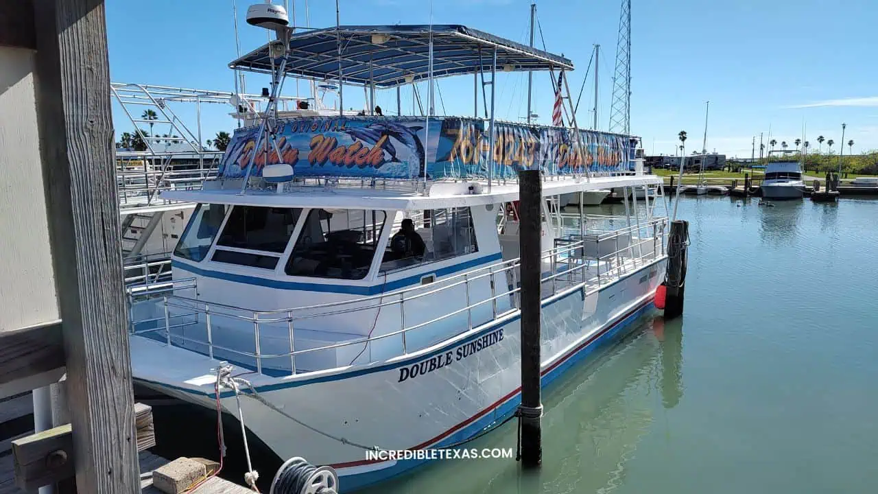 Original Dolphin Watch Tour South Padre Island