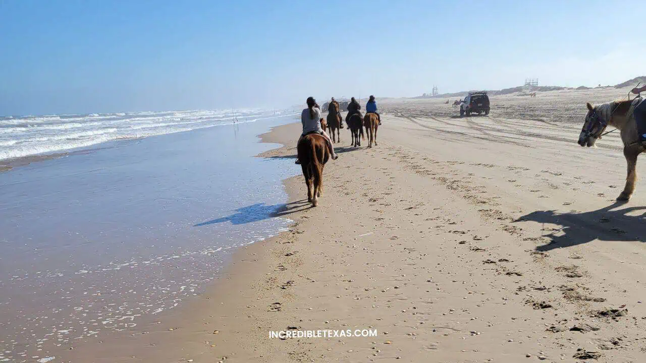 Horseback Riding on the South Padre Island Beach