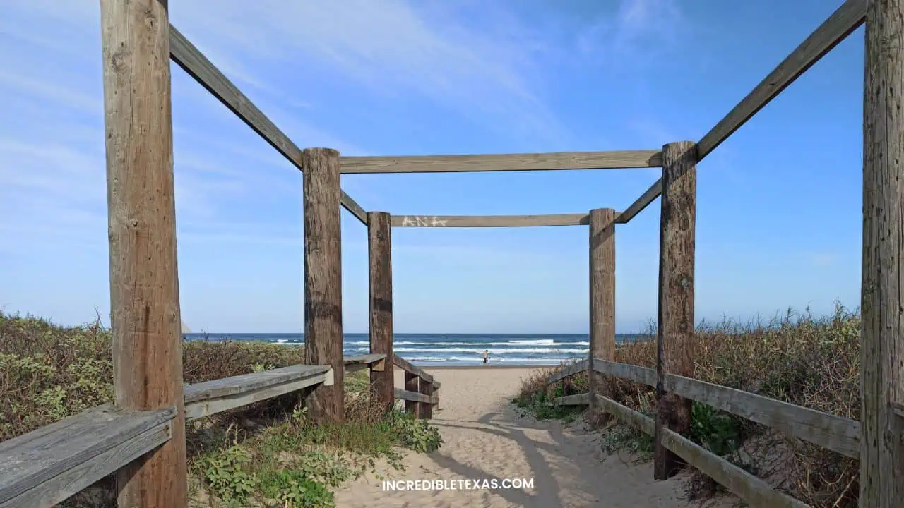 Andy Bowie Park South padre Island