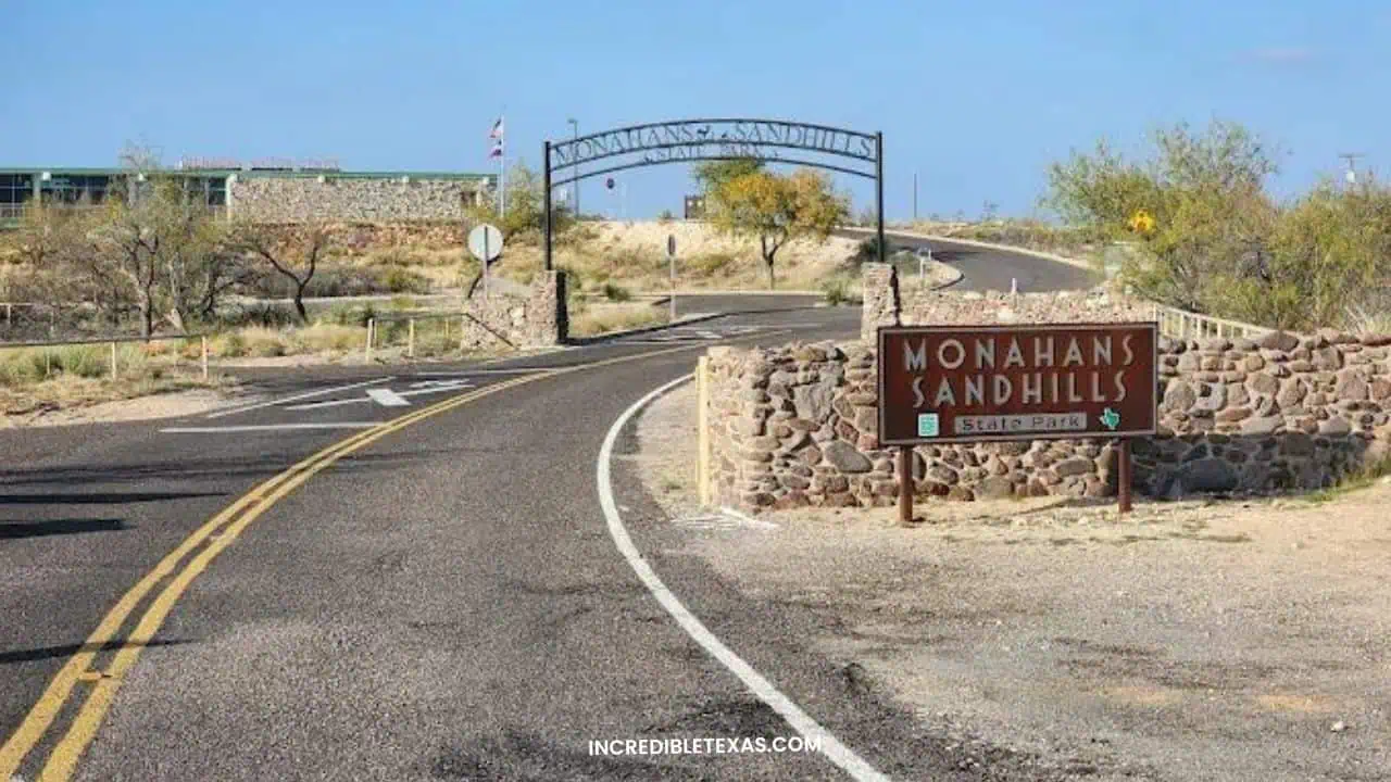 Monahans Sandhills State Park