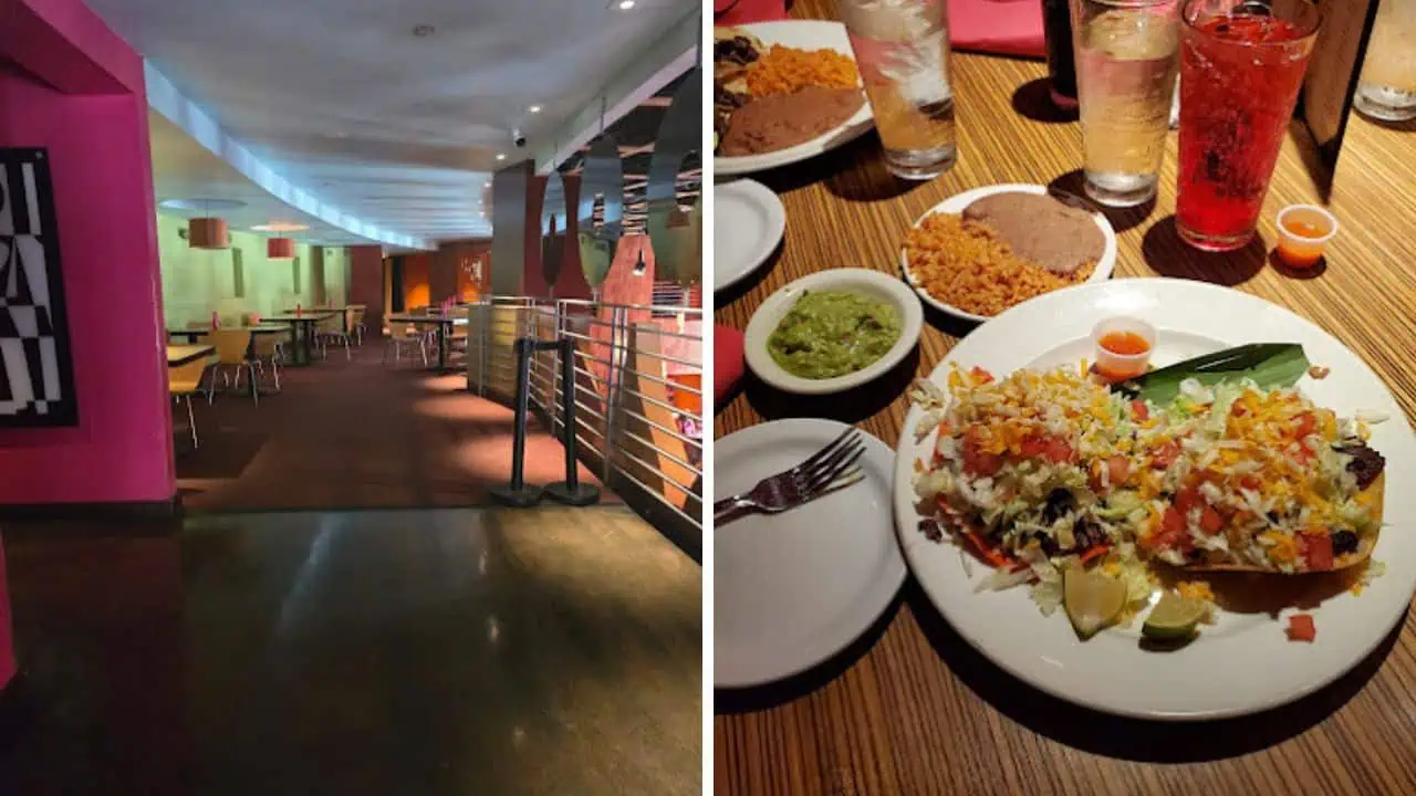 Acenar Hot Mex Cool Bar Best Restaurants in San Antonio