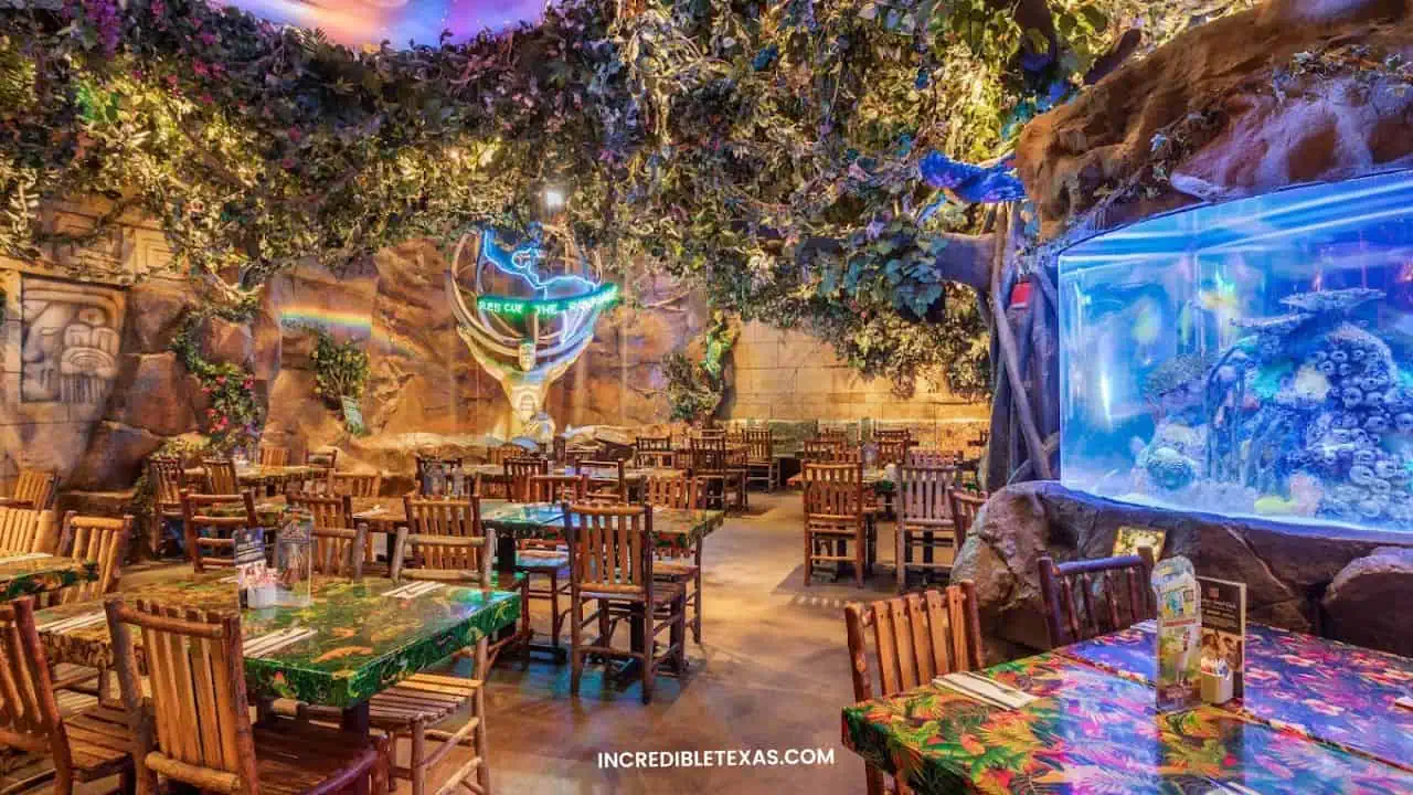 Rainforest Cafe Galveston