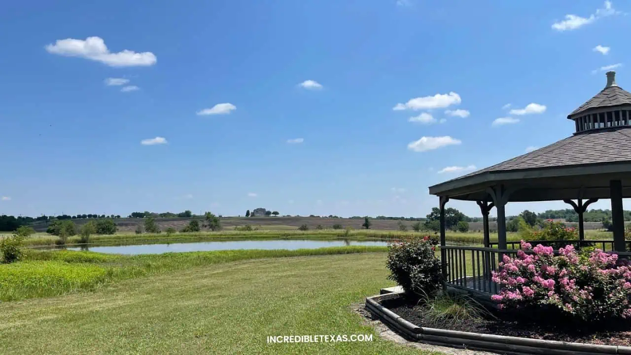 Chappell Hill Lavender Farm Texas