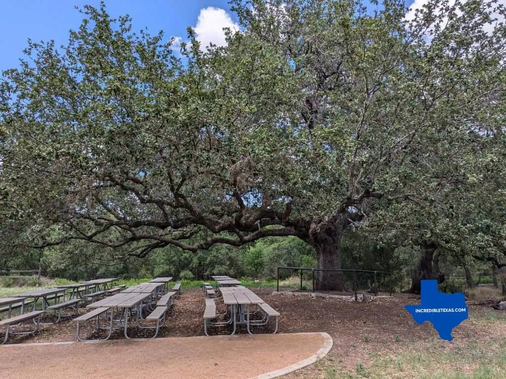 Austin Nature & Science Center