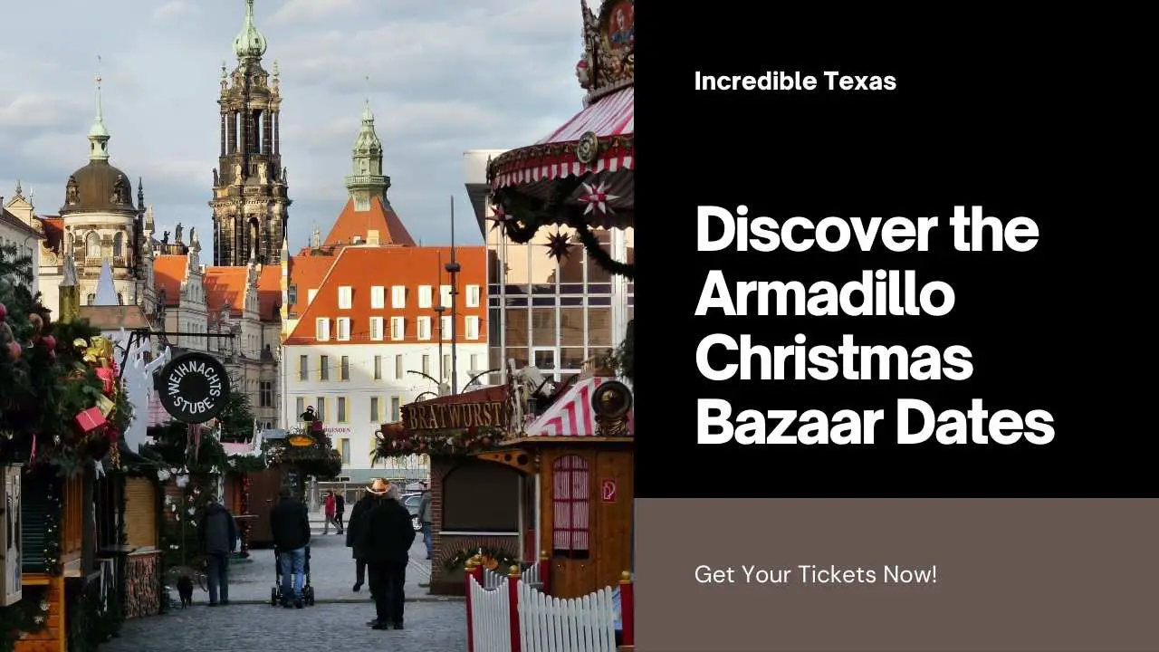 Armadillo Christmas Bazaar 2024 Dates, Location, Tickets &amp; Vendor Details