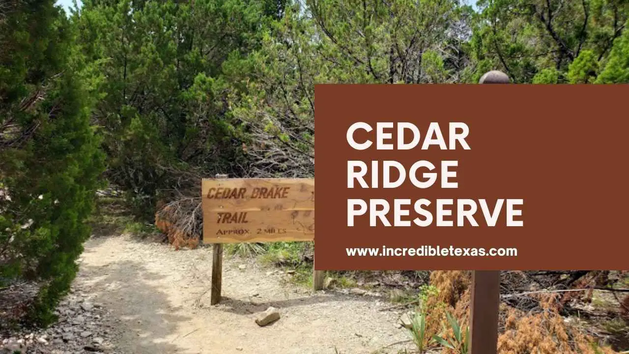 Cedar Ridge Preserve Hours, Trails, Camping and Parking Details. Camping and picnicking.