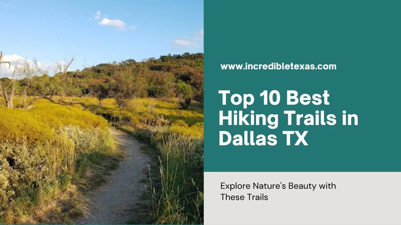 Top 10 Best Hiking Trails in Dallas TX