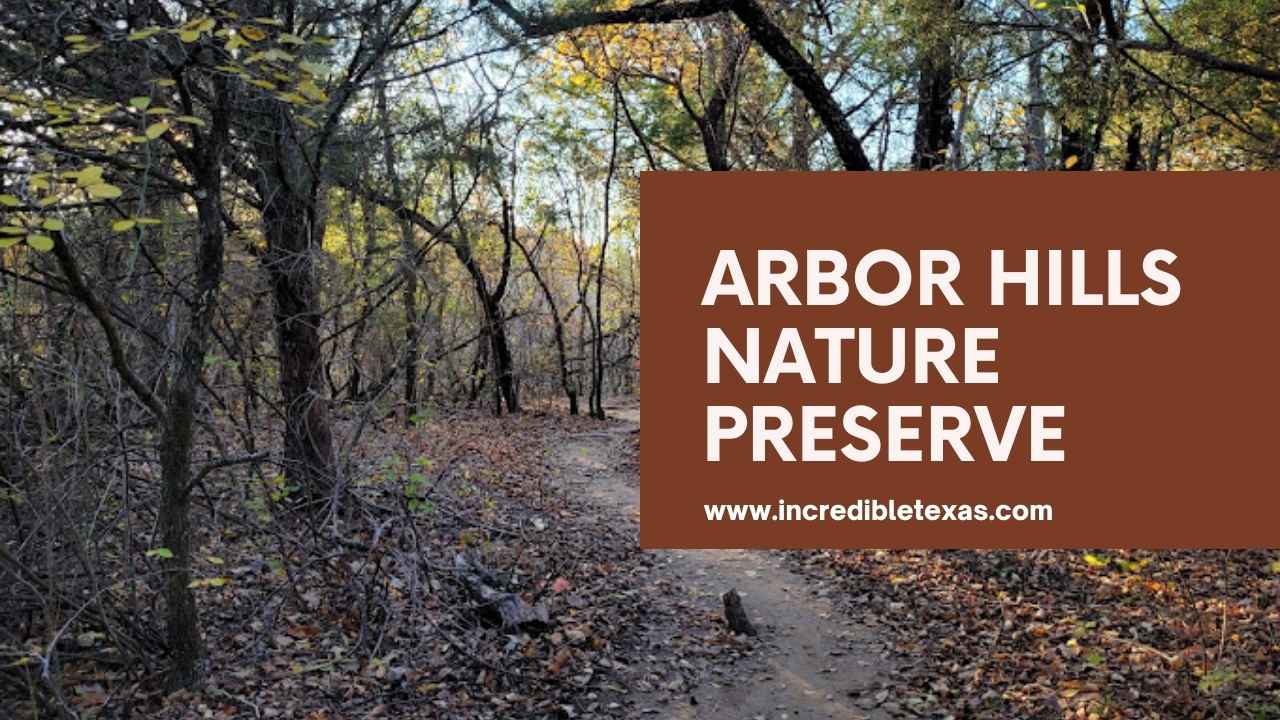 Arbor Hills Nature Preserve – Hiking, Trails, and Outdoor Activities