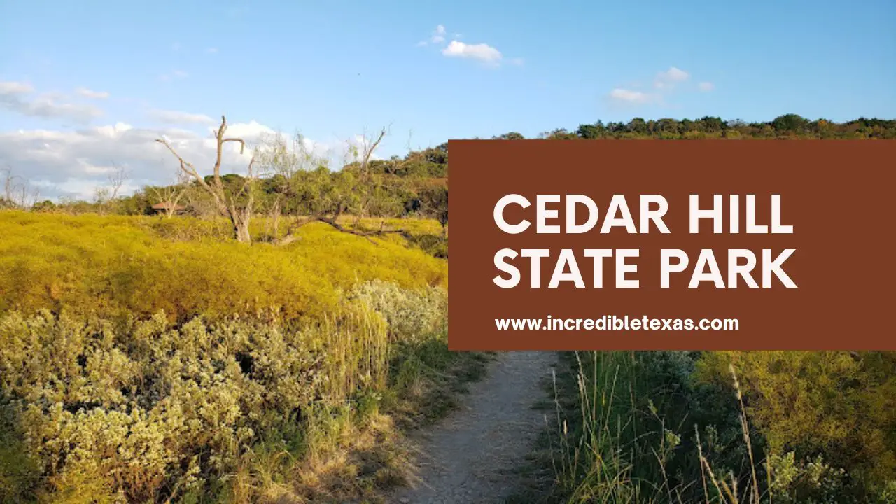 Ultimate Guide to Cedar Hill State Park – Hiking, Camping &amp; Outdoor Adventures. Best places for hiking near Dallas TX. Family activities near Dallas TX.