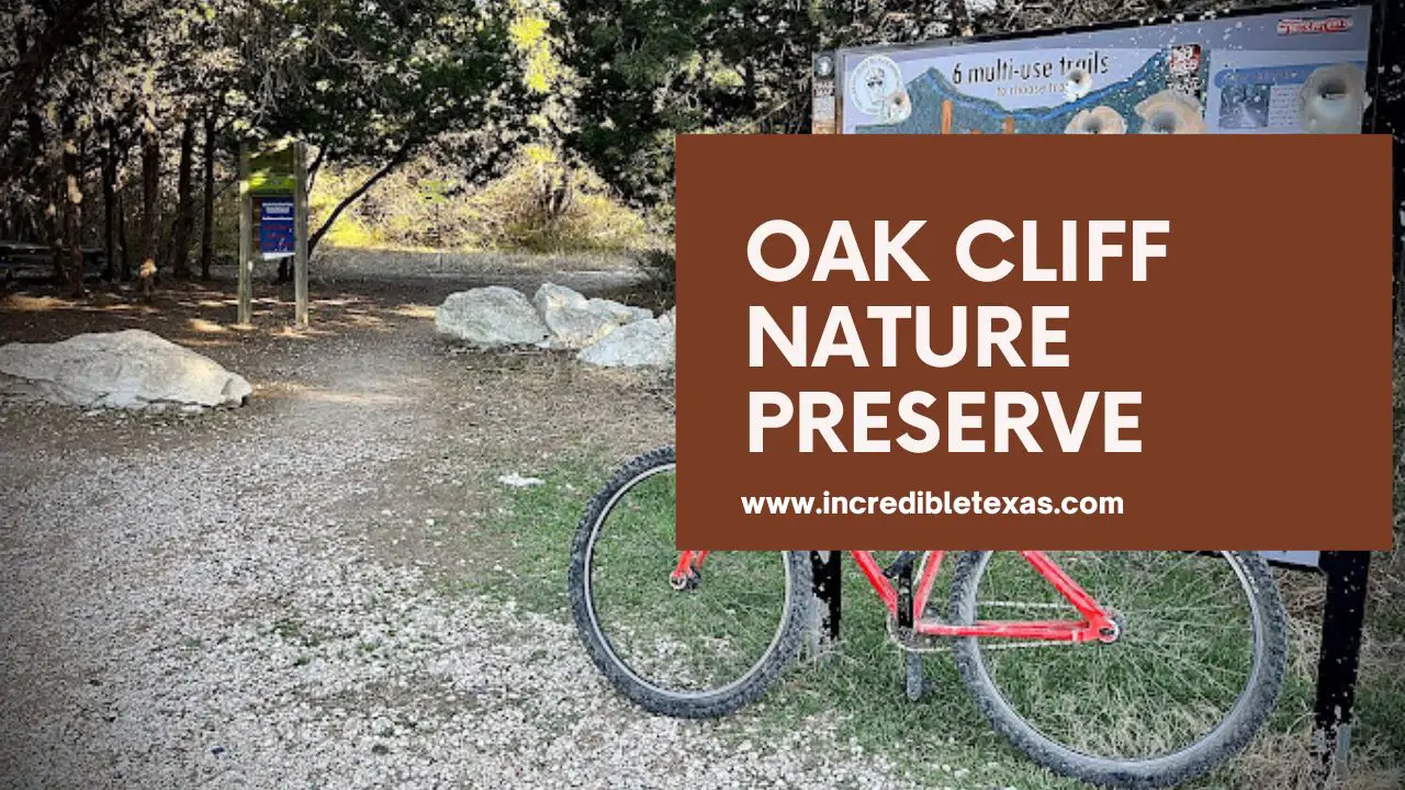 Ultimate Guide to Visiting Oak Cliff Nature Preserve – Hiking, Trails, and Outdoor Fun