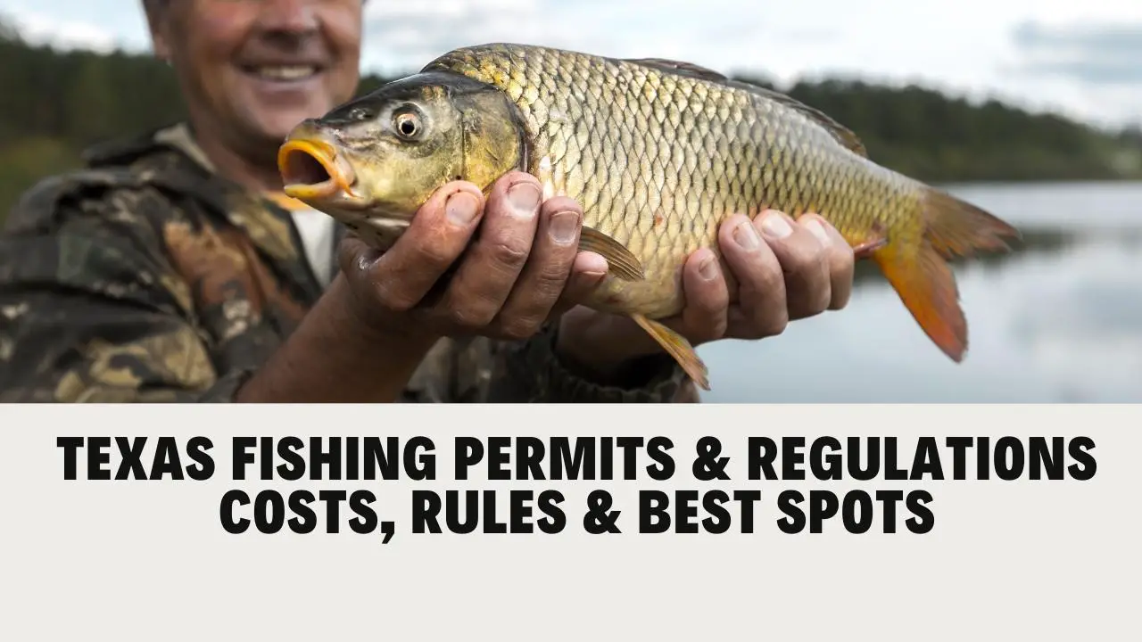 Texas Fishing License &amp; Regulations Costs, Rules &amp; Best Spots