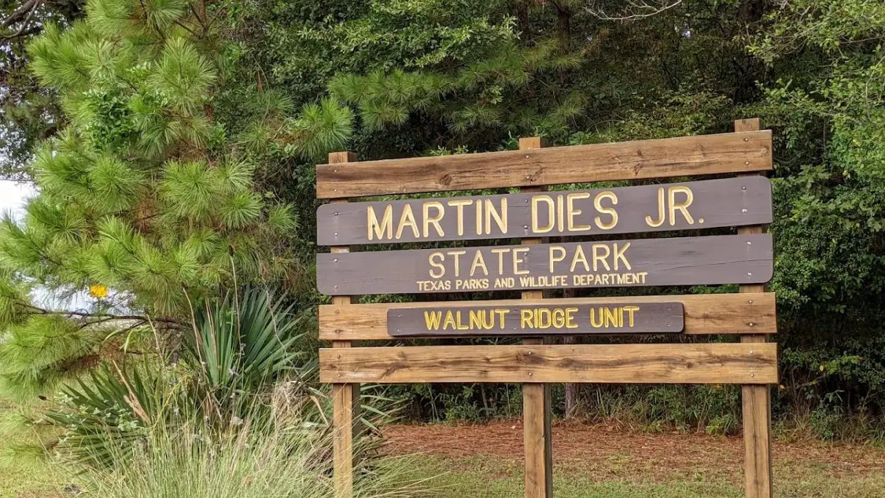 Martin Dies, Jr State Park Texas