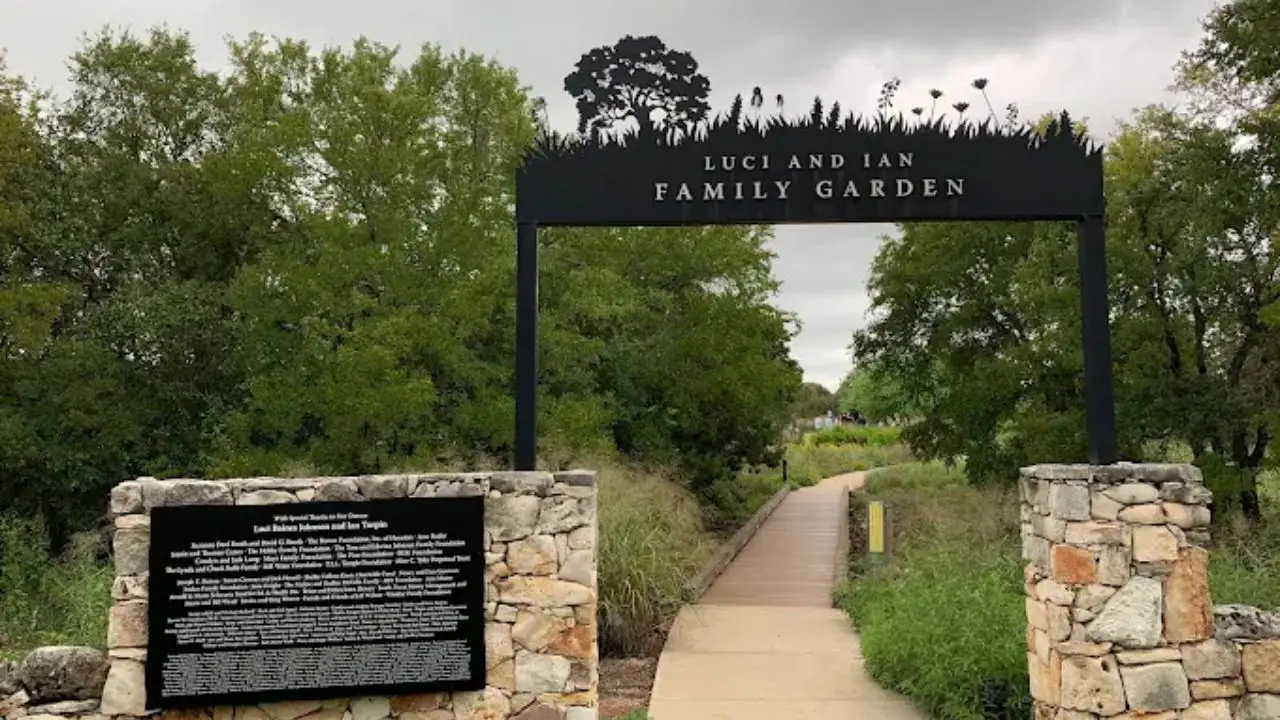 Lady Bird Johnson Wildflower